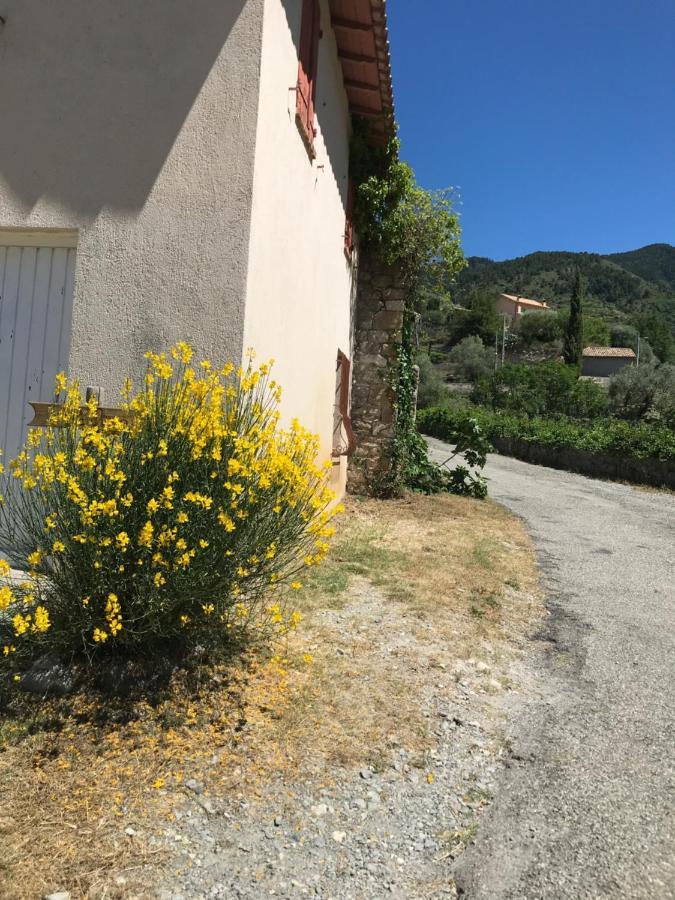 La Ferme Des Cailletiers Chez Marco Villa Luceram Bagian luar foto